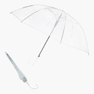 투명 우산 50개입